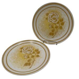 Vintage Dinner Plates in Royal Rose by Royal China 10" Set of 2